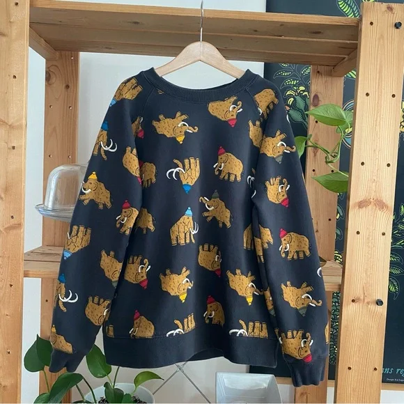 Hanna Andersson Colorful Winter Woolly Mammoth Crewneck Sweatshirt - Picture 2 of 12